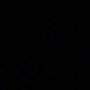 Meet your Posher, Betsey